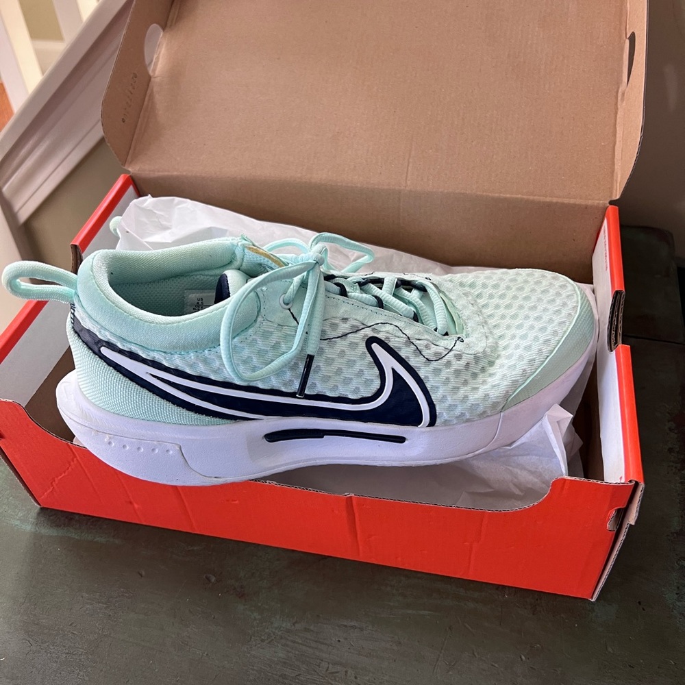 Nike Zoom Court Pro HC